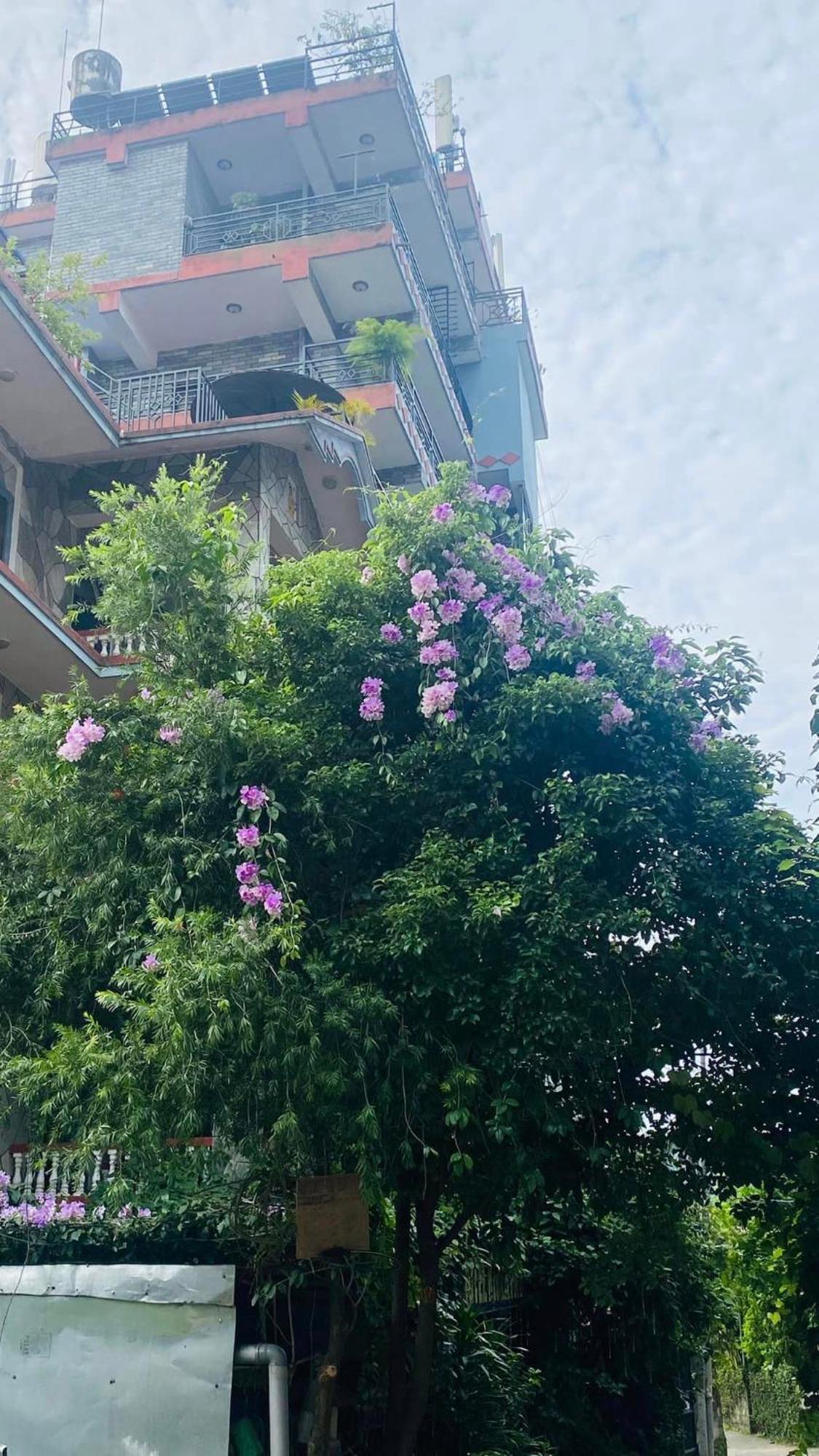 Hotel River Park Pokhara Exterior photo